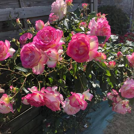 Les Hortensias Grand-Fougeray Buitenkant foto